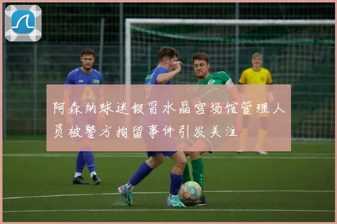 阿森纳球迷假冒水晶宫场馆管理人员被警方拘留事件引发关注